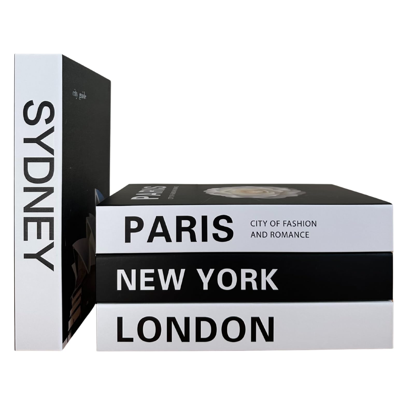 Decorative Book Boxes 4pcs